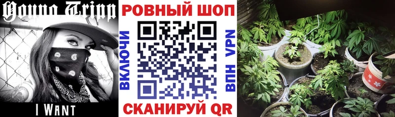 Купить Сим КОКАИН  Альфа ПВП  Амфетамин  LSD-25  МЕФ  hydra сайт  ГАШ  Конопля  МЕТАМФЕТАМИН 