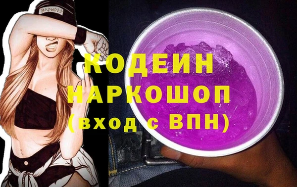винт Абаза
