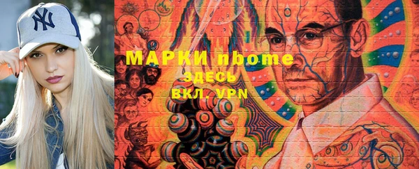 хмурый Алексин