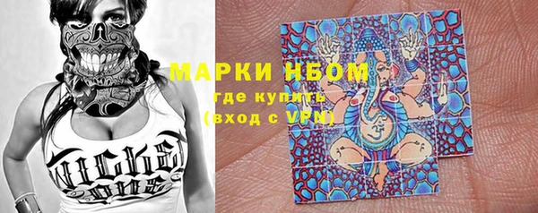 хмурый Алексин