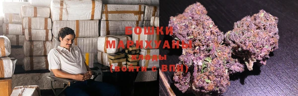 PSILOCYBIN Алексеевка