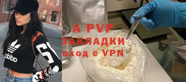 хмурый Алексин