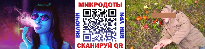 купить   Сим  Галлюциногенные грибы Psilocybe 